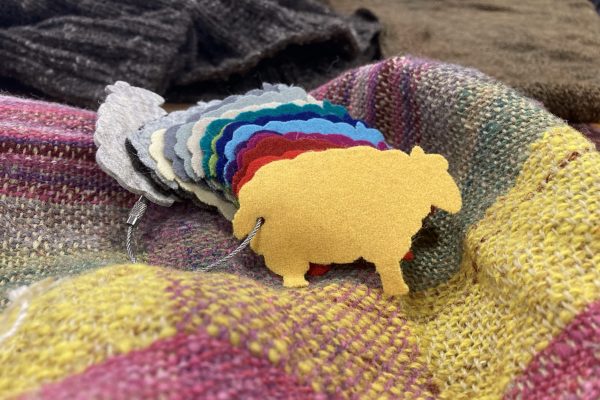 Einladung zum Wollkonvent 2026 +++ mit NEUEM VERANSTALTUNGSORT +++